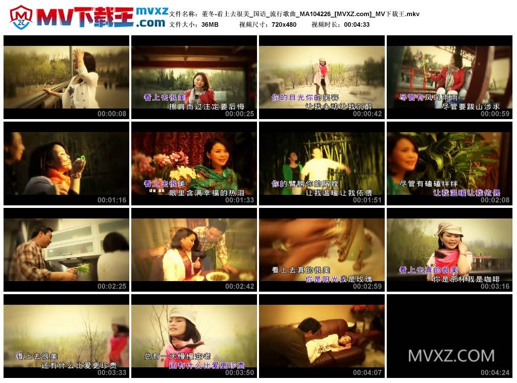 董冬-看上去很美_国语_流行歌曲_MA104226
